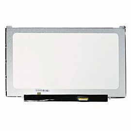 HW14WX102 Laptop Screen Replacement